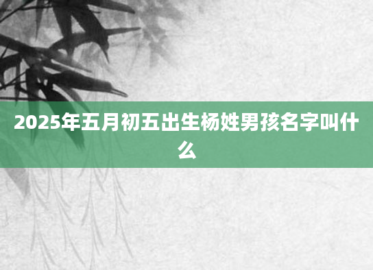 2025年五月初五出生杨姓男孩名字叫什么