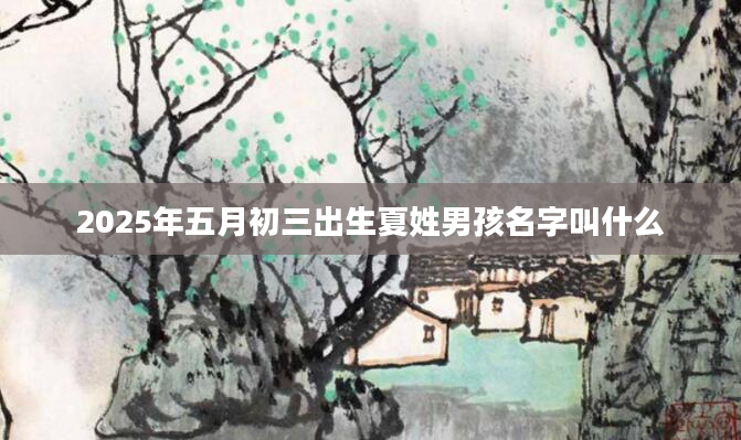 2025年五月初三出生夏姓男孩名字叫什么