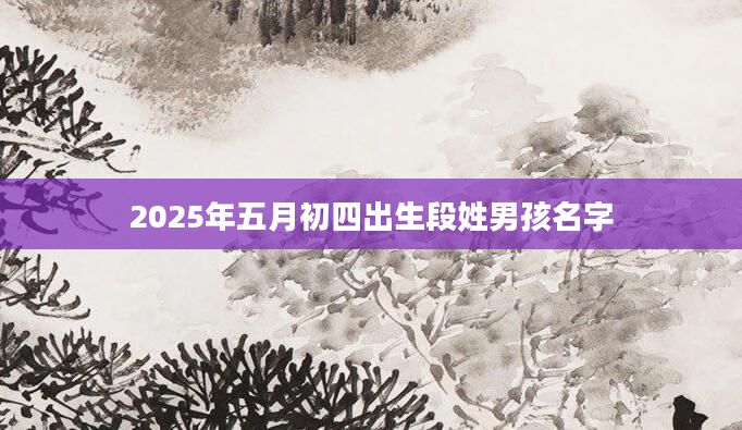 2025年五月初四出生段姓男孩名字
