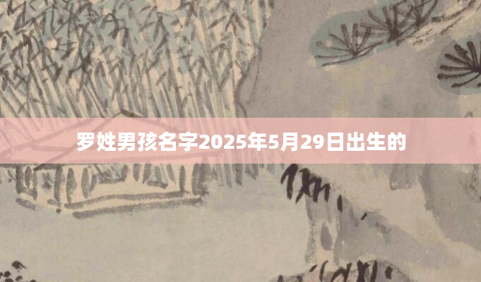 罗姓男孩名字2025年5月29日出生的