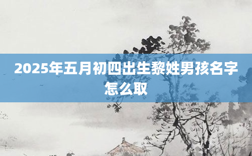 2025年五月初四出生黎姓男孩名字怎么取