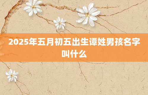 2025年五月初五出生谭姓男孩名字叫什么