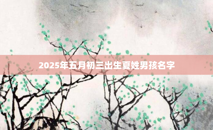 2025年五月初三出生夏姓男孩名字