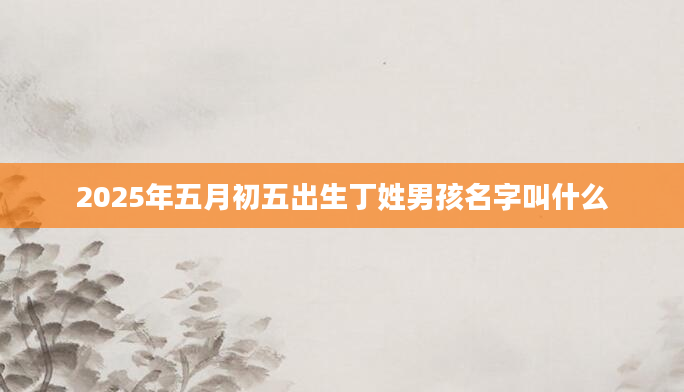 2025年五月初五出生丁姓男孩名字叫什么