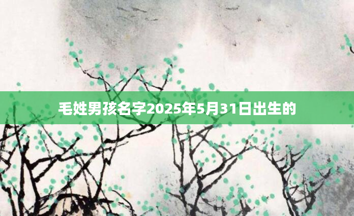 毛姓男孩名字2025年5月31日出生的