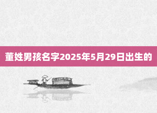 董姓男孩名字2025年5月29日出生的