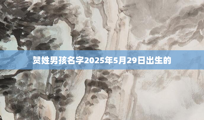 贺姓男孩名字2025年5月29日出生的