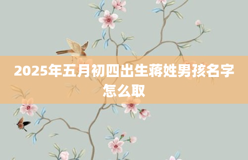 2025年五月初四出生蒋姓男孩名字怎么取