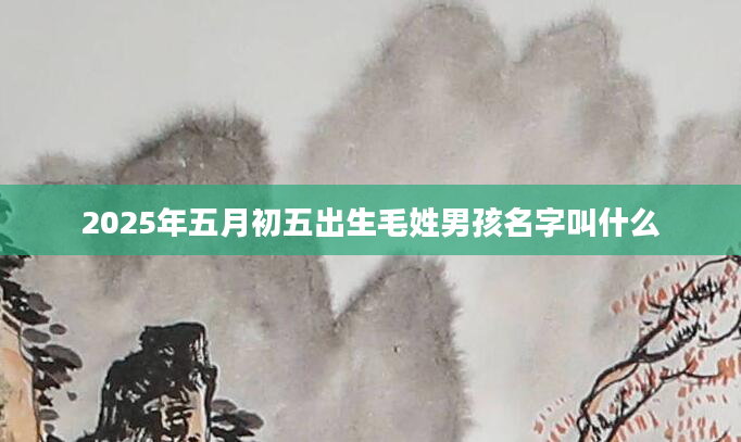 2025年五月初五出生毛姓男孩名字叫什么