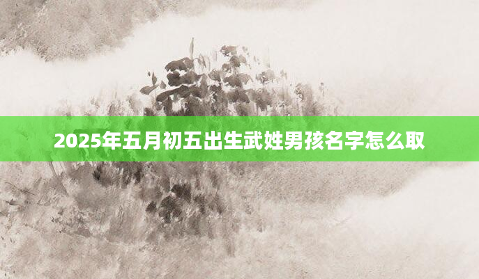 2025年五月初五出生武姓男孩名字怎么取