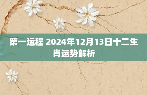 第一运程 2024年12月13日十二生肖运势解析