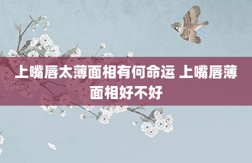 上嘴唇太薄面相有何命运 上嘴唇薄面相好不好