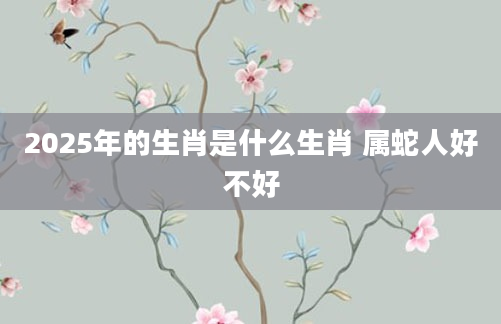 2025年的生肖是什么生肖 属蛇人好不好