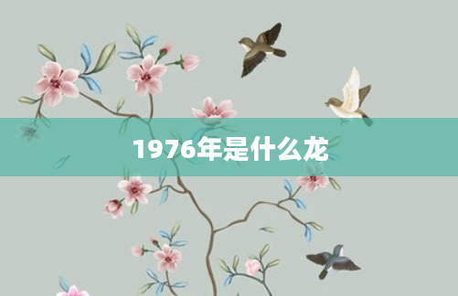 1976年是什么龙