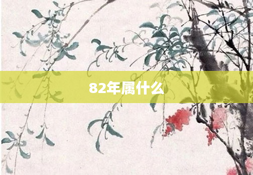 82年属什么