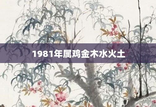 1981年属鸡金木水火土