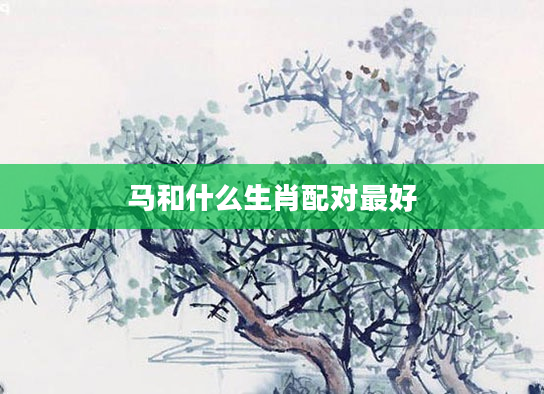 马和什么生肖配对最好