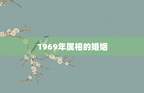 1969年属相的婚姻