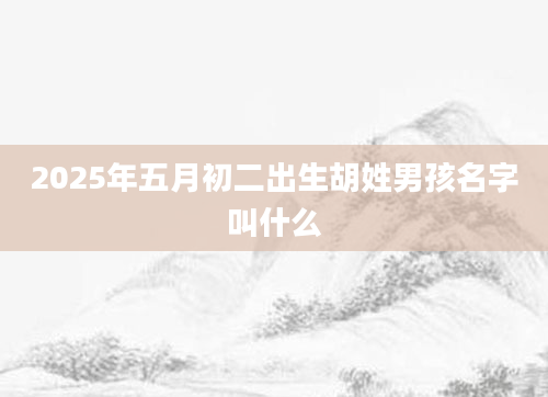 2025年五月初二出生胡姓男孩名字叫什么