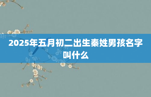 2025年五月初二出生秦姓男孩名字叫什么