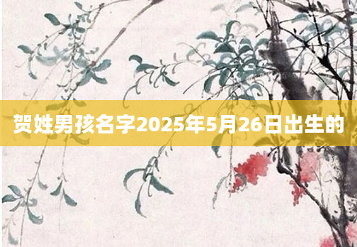 贺姓男孩名字2025年5月26日出生的