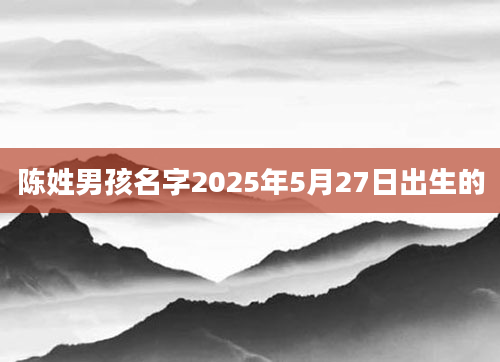 陈姓男孩名字2025年5月27日出生的