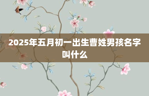 2025年五月初一出生曹姓男孩名字叫什么