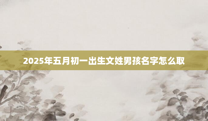 2025年五月初一出生文姓男孩名字怎么取