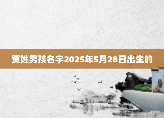 贾姓男孩名字2025年5月28日出生的