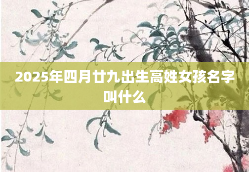 2025年四月廿九出生高姓女孩名字叫什么