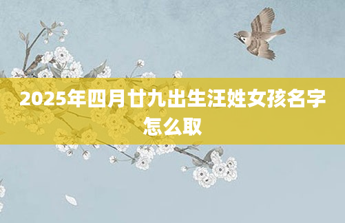 2025年四月廿九出生汪姓女孩名字怎么取