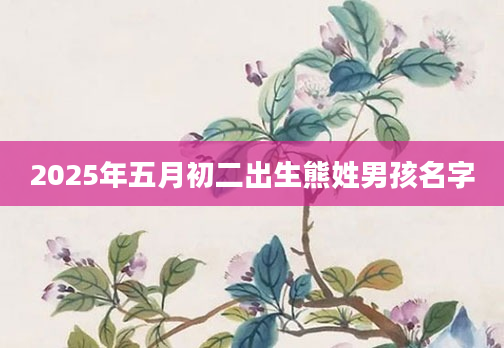 2025年五月初二出生熊姓男孩名字