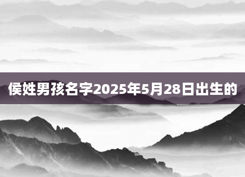 侯姓男孩名字2025年5月28日出生的