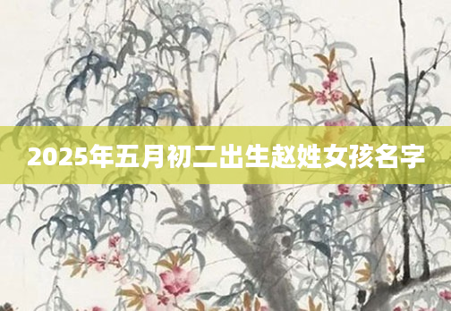 2025年五月初二出生赵姓女孩名字