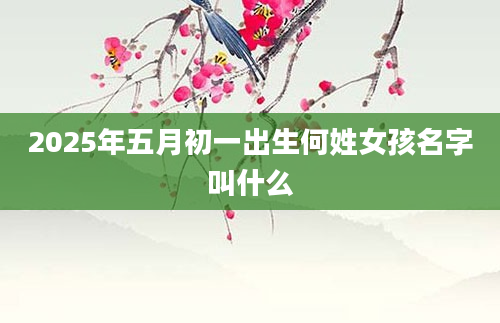 2025年五月初一出生何姓女孩名字叫什么