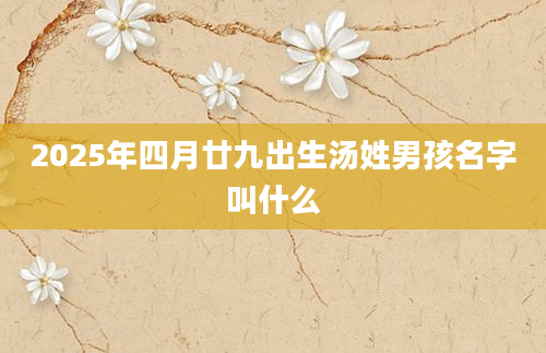 2025年四月廿九出生汤姓男孩名字叫什么
