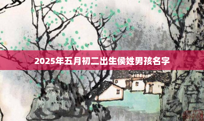2025年五月初二出生侯姓男孩名字