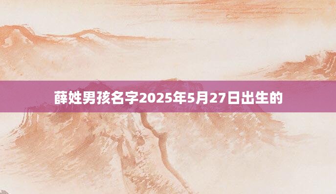 薛姓男孩名字2025年5月27日出生的