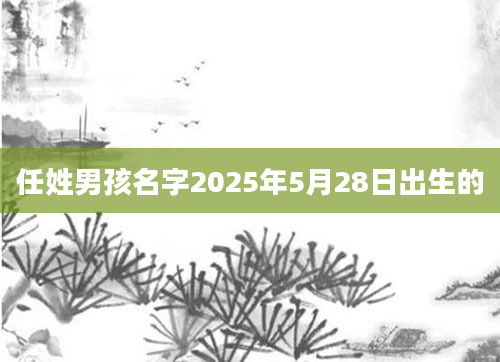 任姓男孩名字2025年5月28日出生的