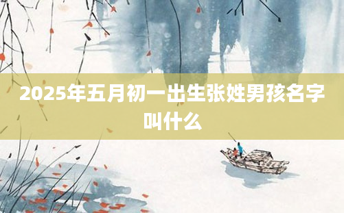 2025年五月初一出生张姓男孩名字叫什么