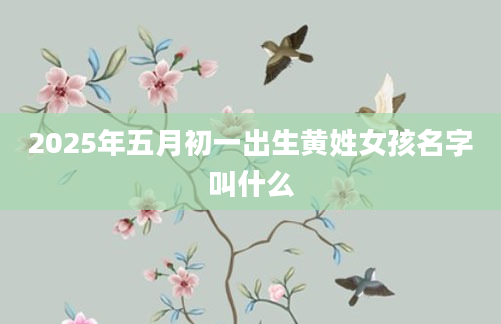 2025年五月初一出生黄姓女孩名字叫什么