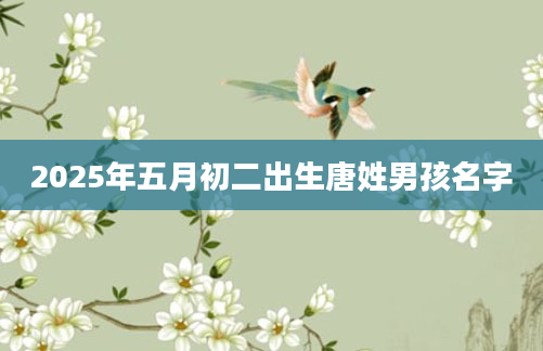 2025年五月初二出生唐姓男孩名字