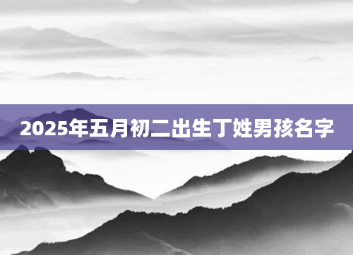 2025年五月初二出生丁姓男孩名字