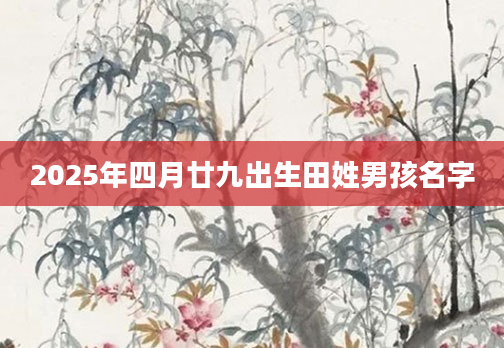2025年四月廿九出生田姓男孩名字