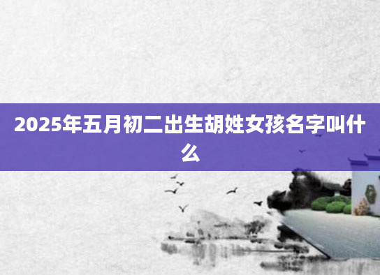 2025年五月初二出生胡姓女孩名字叫什么
