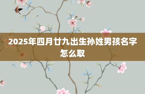 2025年四月廿九出生孙姓男孩名字怎么取