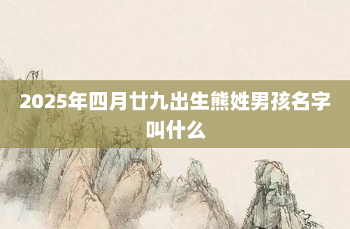 2025年四月廿九出生熊姓男孩名字叫什么
