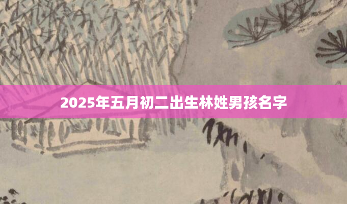 2025年五月初二出生林姓男孩名字