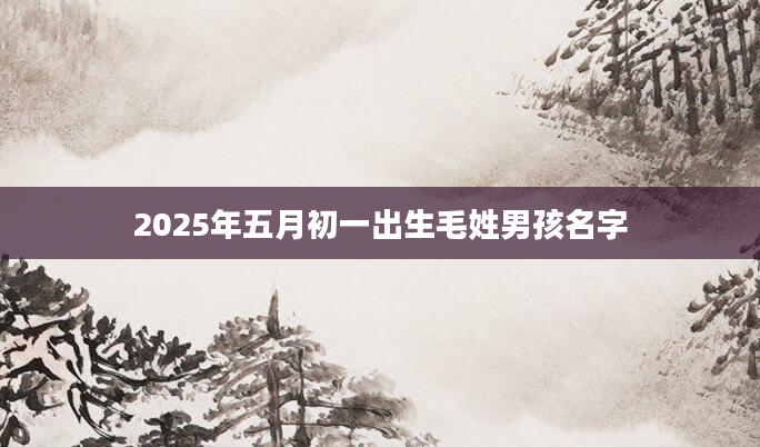 2025年五月初一出生毛姓男孩名字