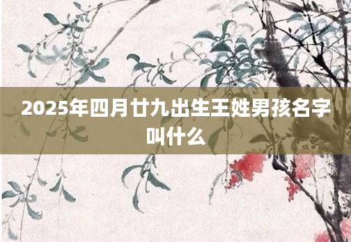 2025年四月廿九出生王姓男孩名字叫什么